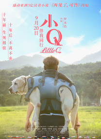 麻婆传媒